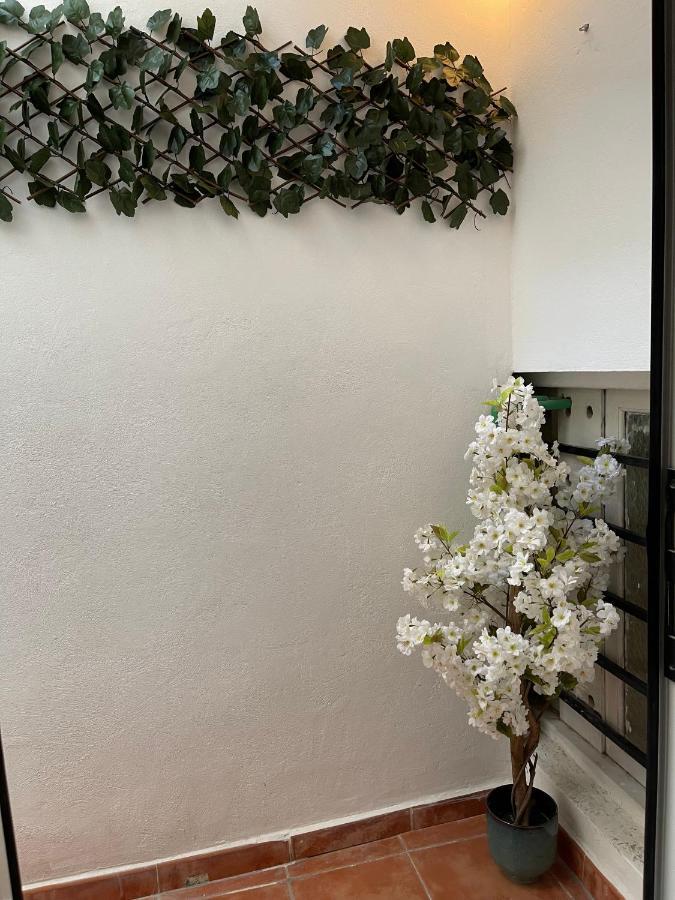 Dream Recova Apartment Santa Cruz de Tenerife Exterior foto