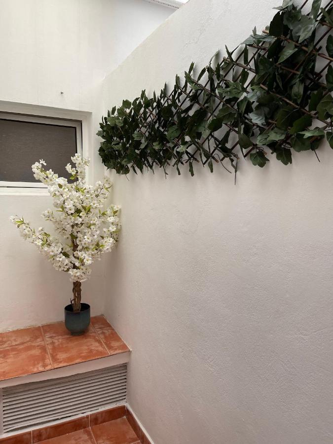Dream Recova Apartment Santa Cruz de Tenerife Exterior foto